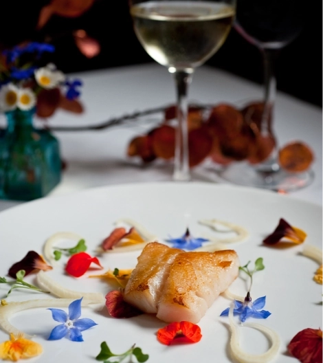 Amazing Dining Options